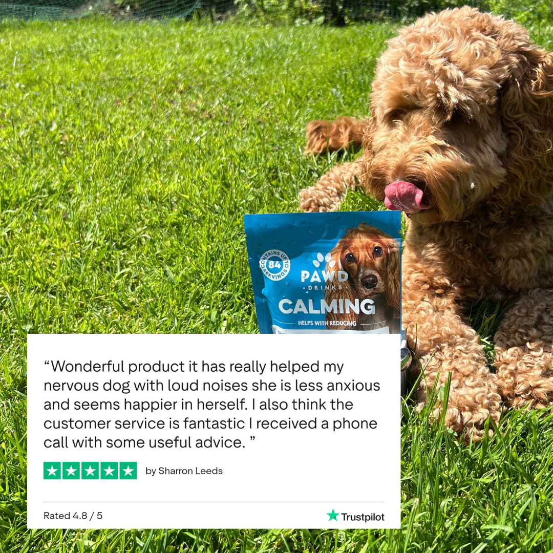 Customer review of PAWD
