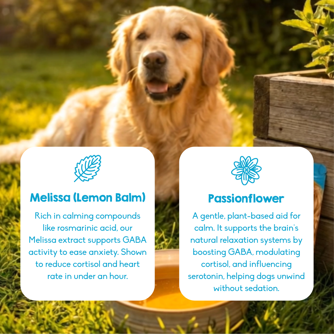 PAWD Calming ingredients